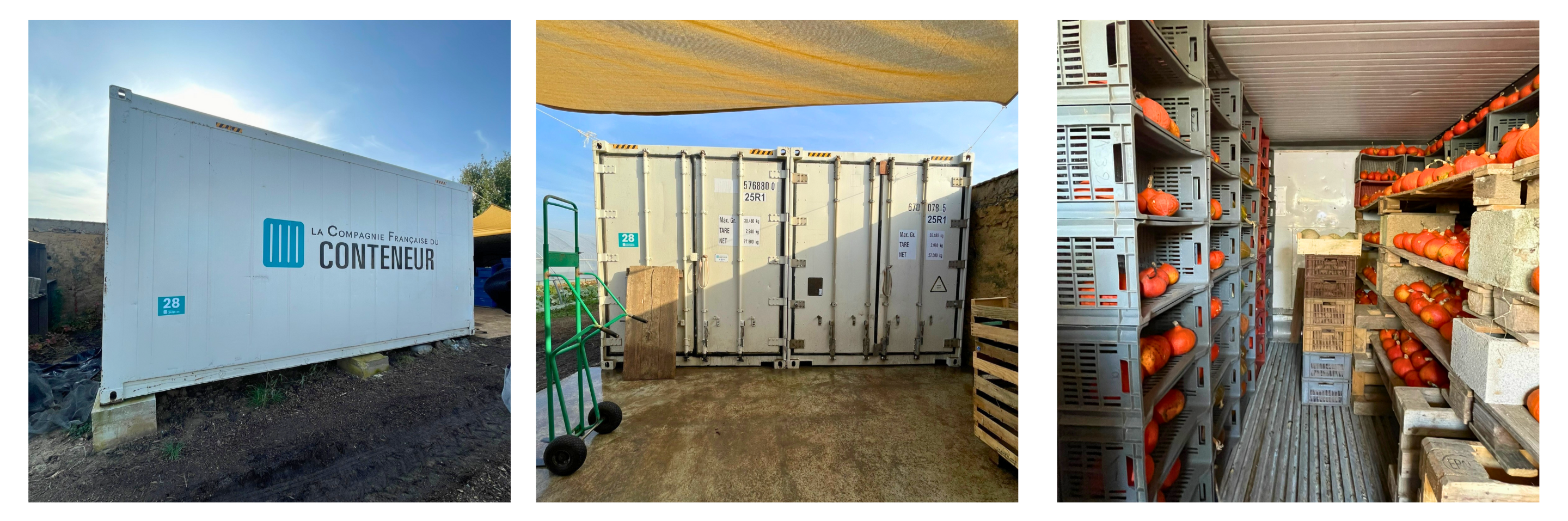 Conteneur stockage frigorifique